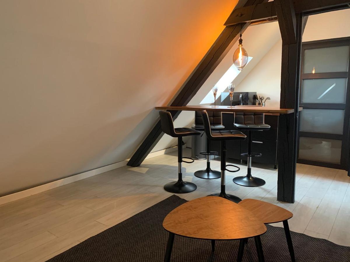 Cocoon Loft Daire Colmar Dış mekan fotoğraf