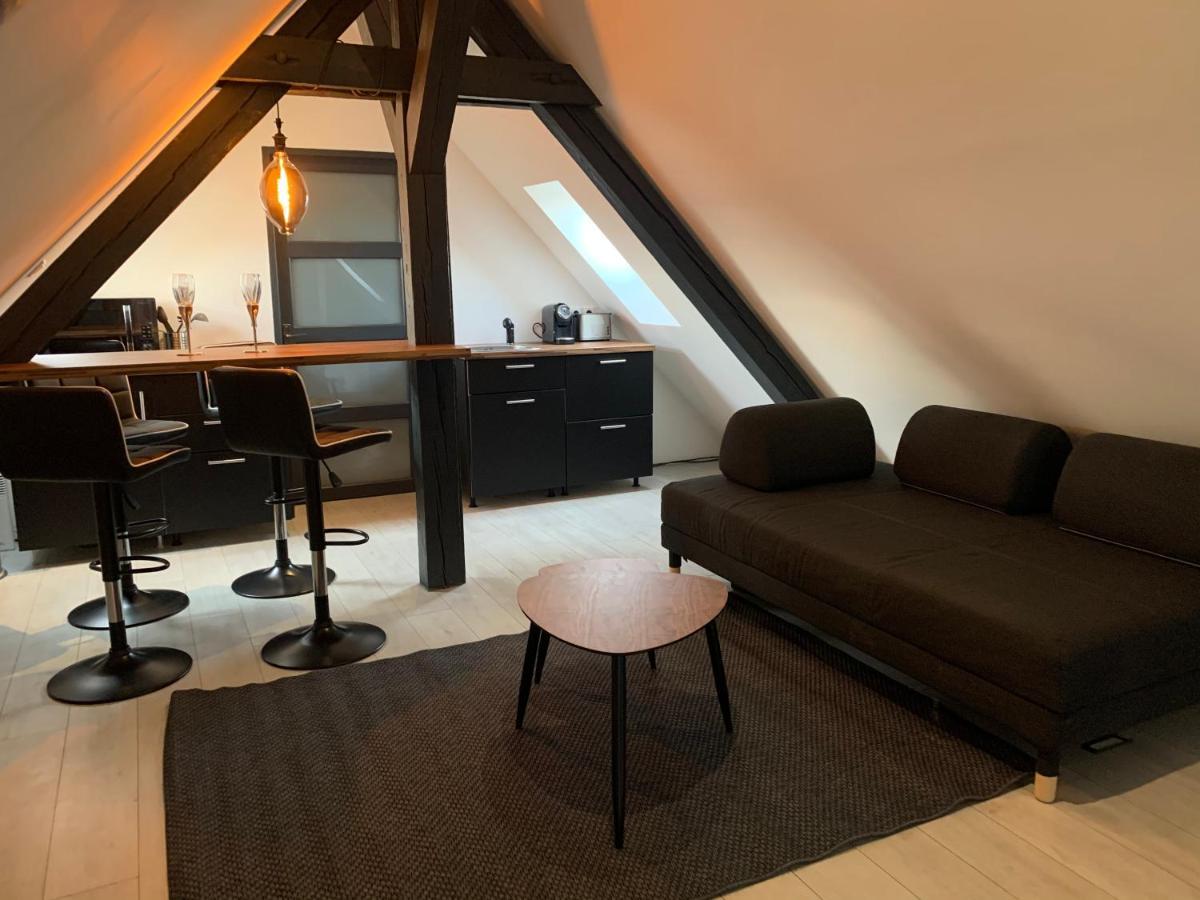 Cocoon Loft Daire Colmar Dış mekan fotoğraf