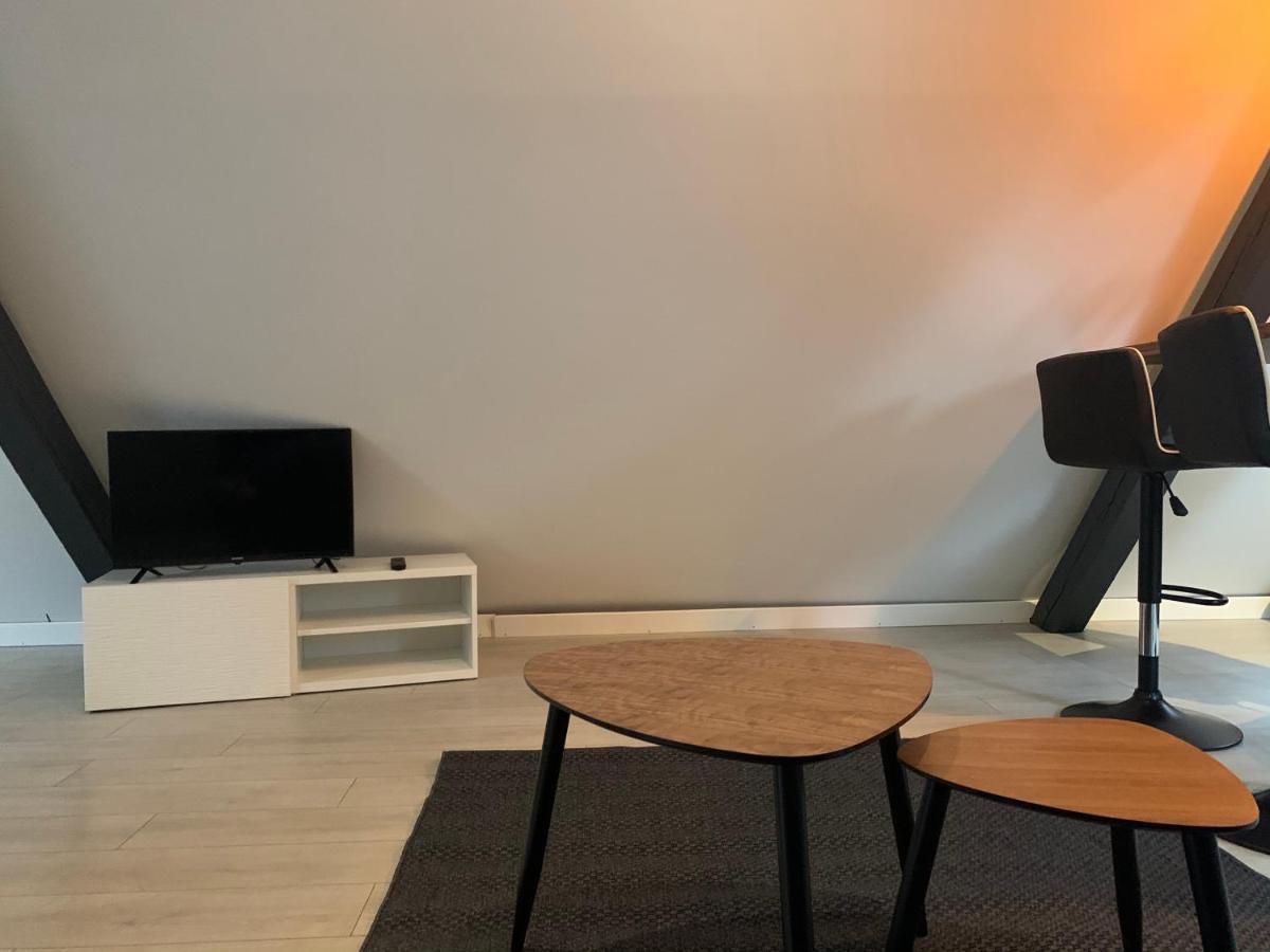 Cocoon Loft Daire Colmar Dış mekan fotoğraf