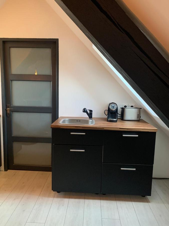 Cocoon Loft Daire Colmar Dış mekan fotoğraf