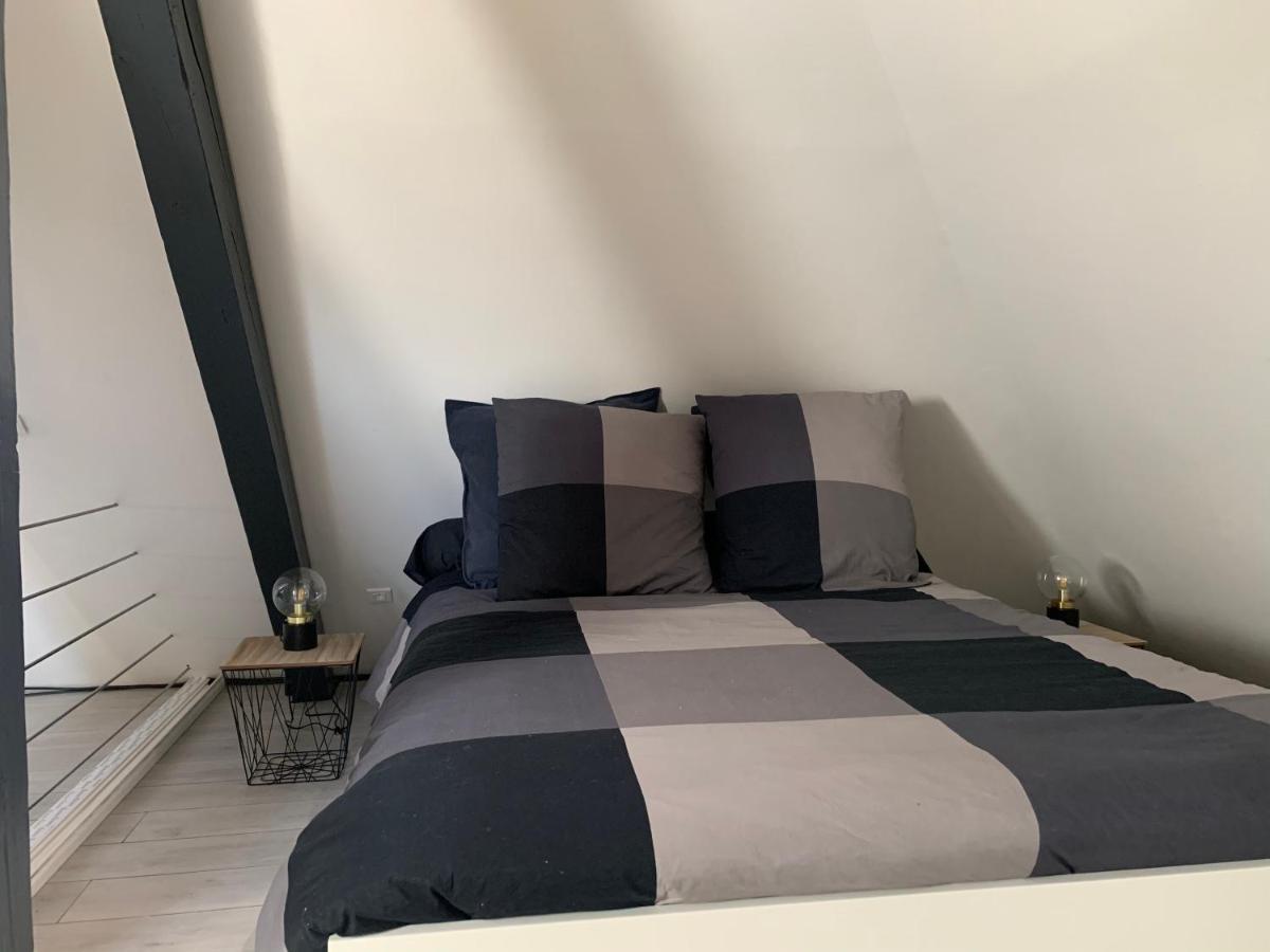 Cocoon Loft Daire Colmar Dış mekan fotoğraf