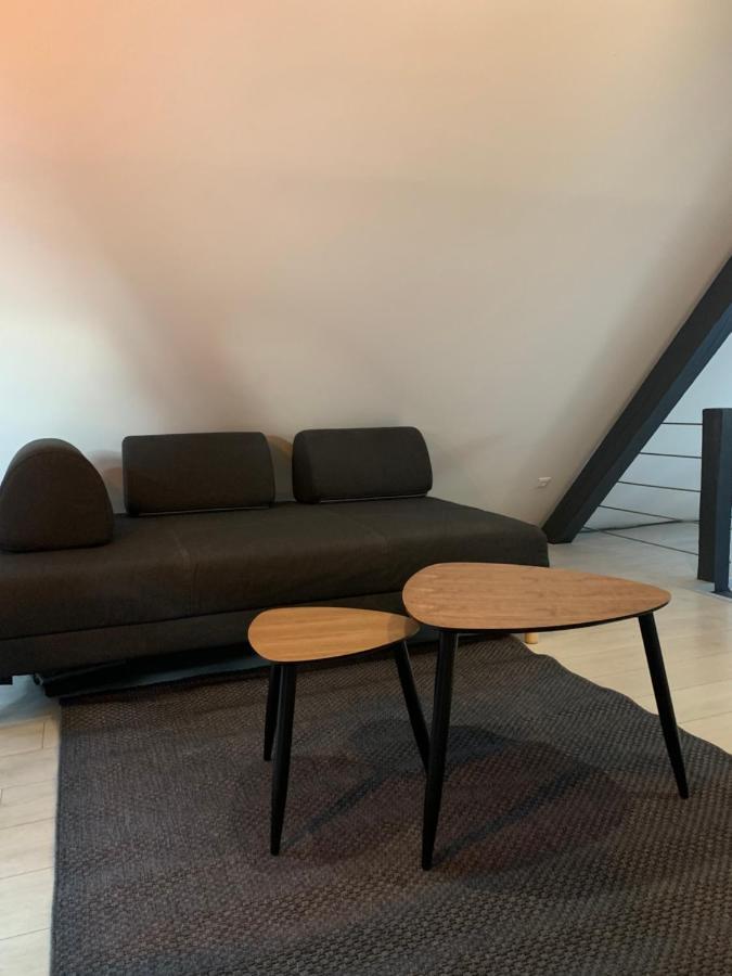 Cocoon Loft Daire Colmar Dış mekan fotoğraf