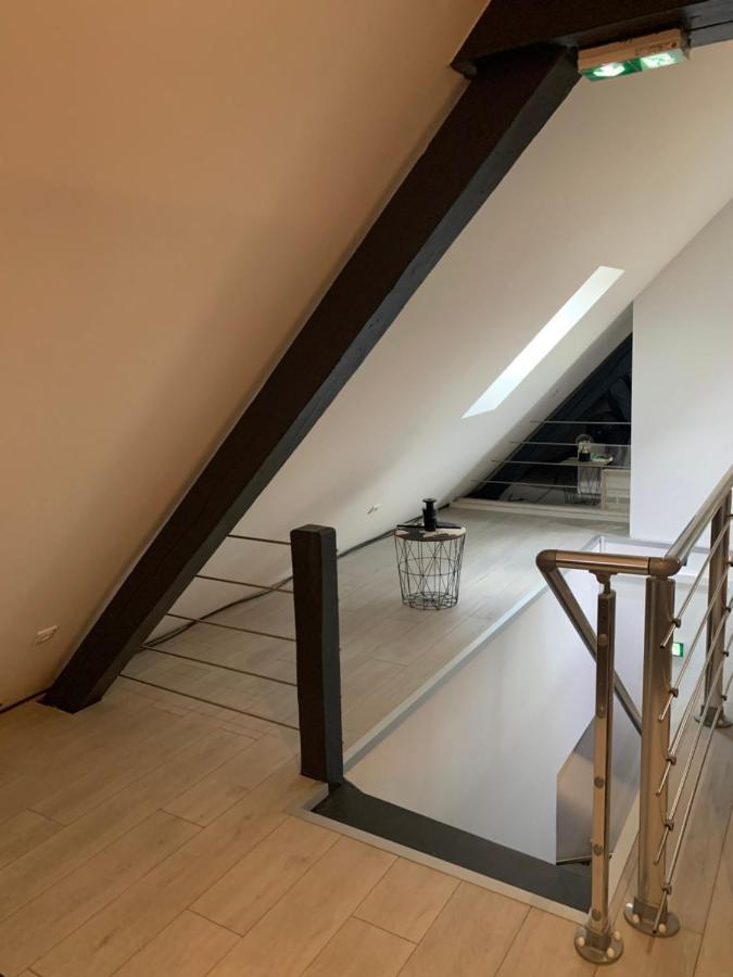 Cocoon Loft Daire Colmar Dış mekan fotoğraf